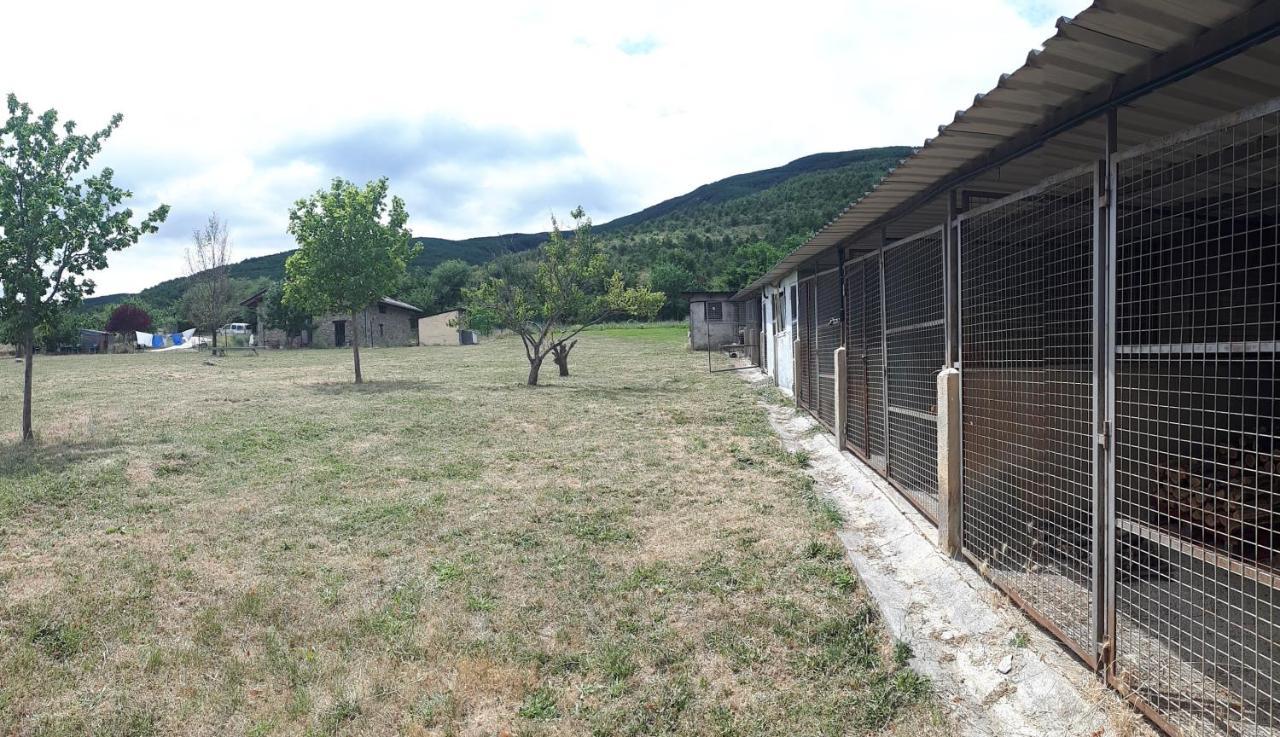 Albergue A'Noguera Castiello de Jaca Extérieur photo